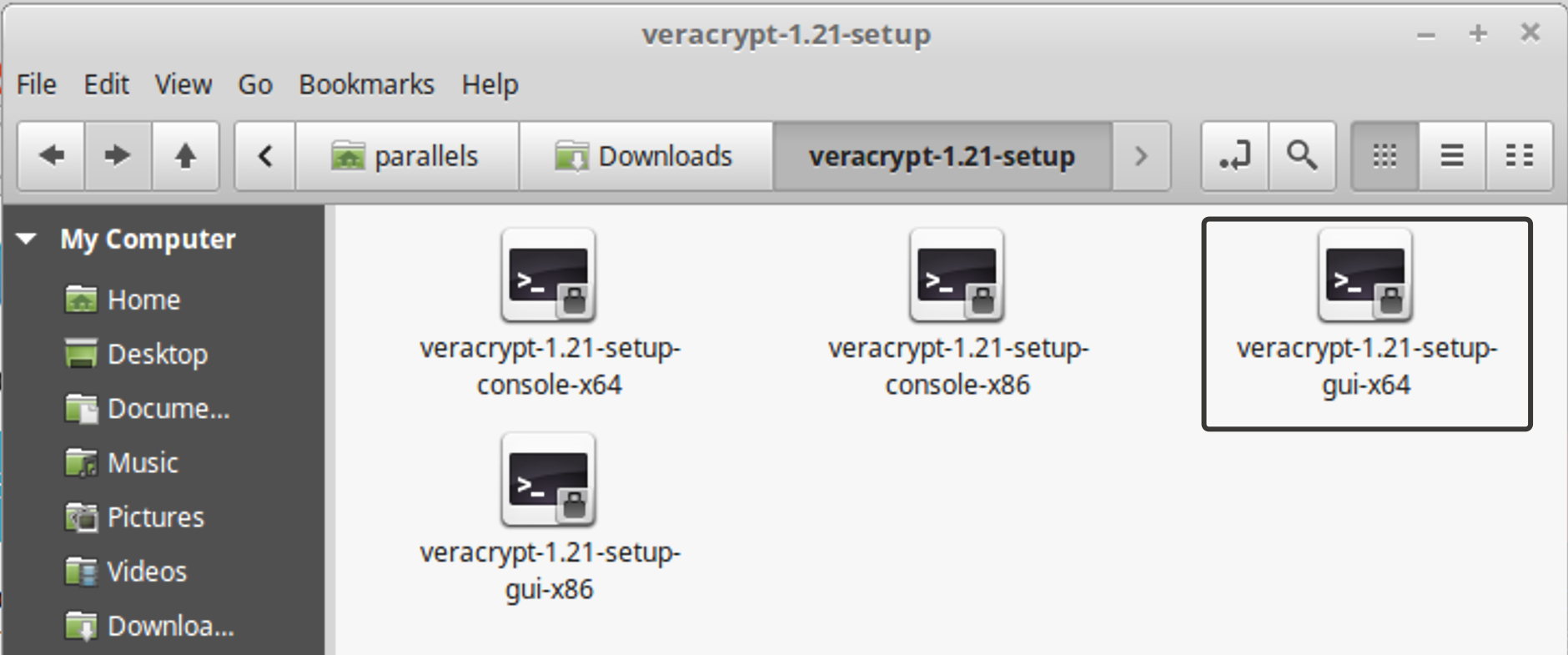 VeraCrypt Linux Mint